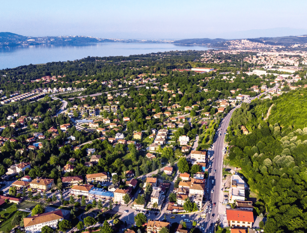 Blue and Purple Dots Clean Minimalism Twitch Banner (4 x 5 in)