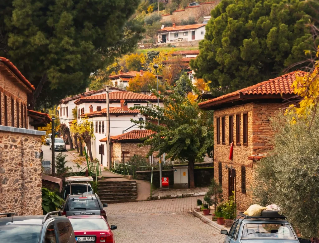 pexels-hakan-senturk-387363423-19512744