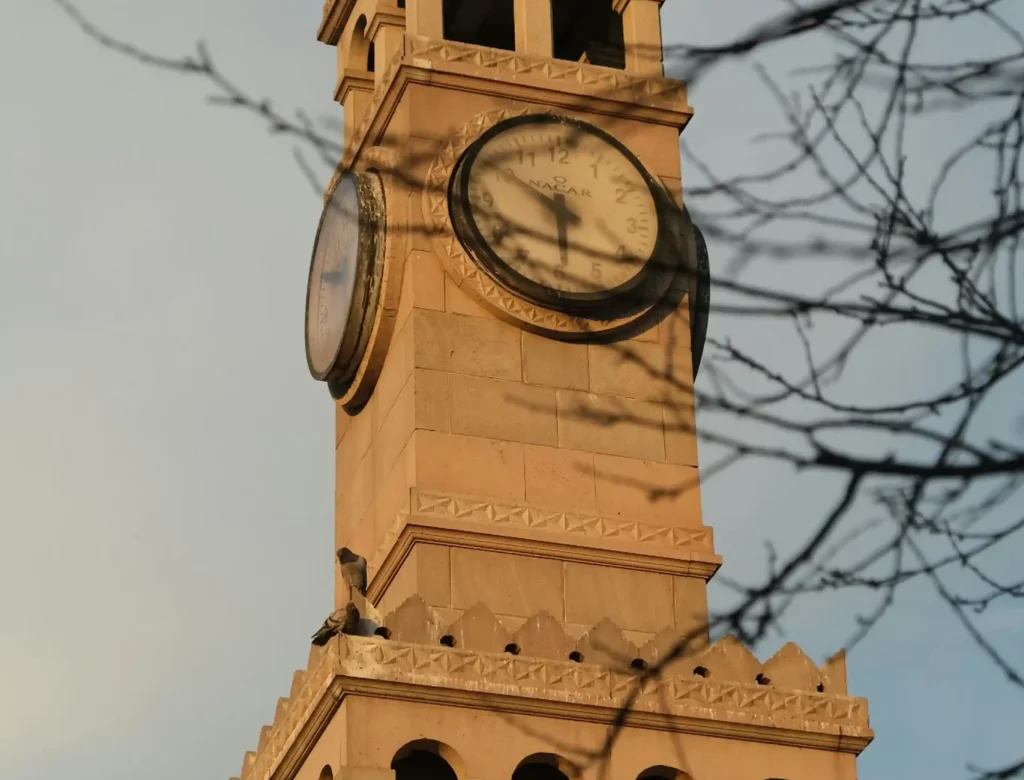 pexels-khadijah-15209464