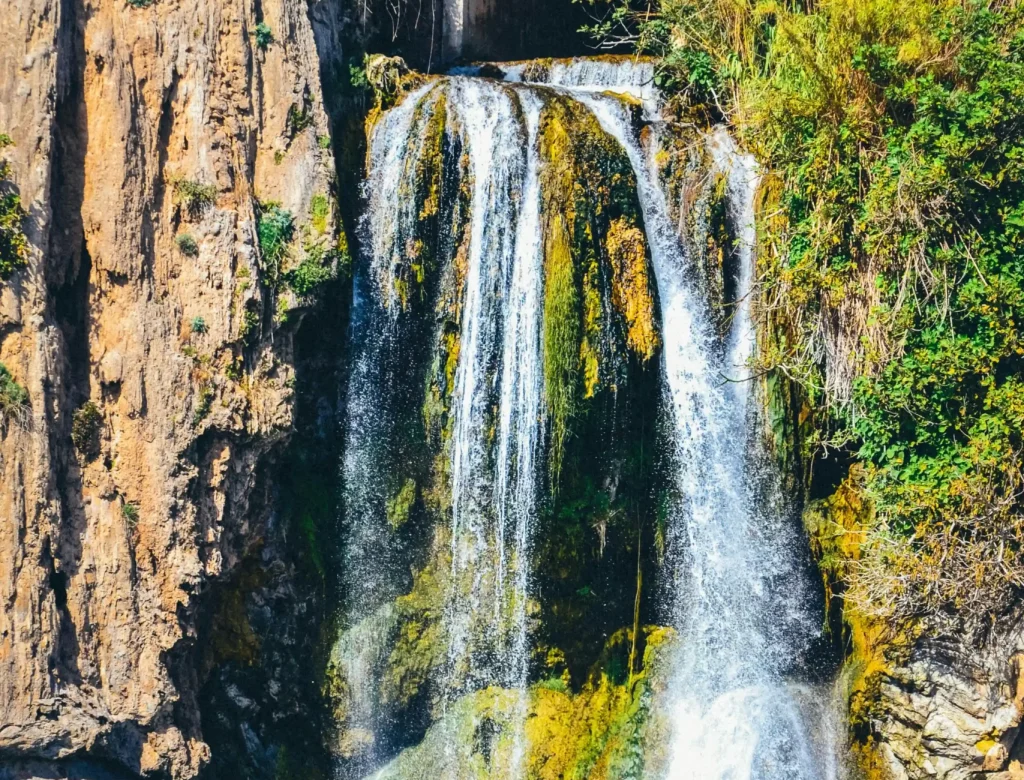 pexels-oguzcobn-22921948